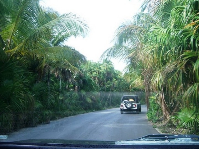 Paseos en Jeep